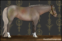 Horse Color:Silver Black 