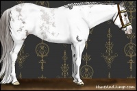 Horse Color:Liver Chestnut Sabino
