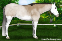 Horse Color:Bay Roan Dun Splash