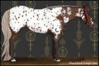 Horse Color:Silver Brown Near Leopard 