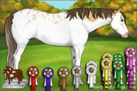 Horse Color:Buckskin Roan Splash Frame Appaloosa Rabicano 