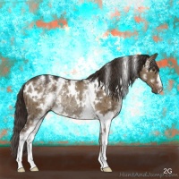 Horse Color:White Spotted Liver Red Dun Rabicano Brindle 