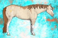 Horse Color:White Spotted Gold Champagne Dun Rabicano Brindle
