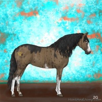 Horse Color:White Spotted Liver Red Dun 
