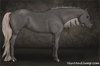 Horse Color:Silver Black 