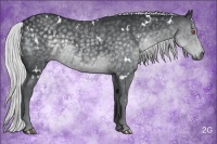 Horse Color:White Spotted Silver Black Chinchilla 