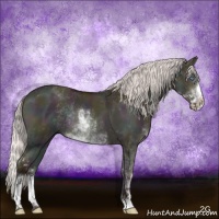 Horse Color:Midnight Silver Sable Champagne Dun Sabino Rabicano