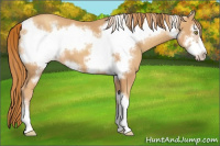 Horse Color:Gold Champagne Frame