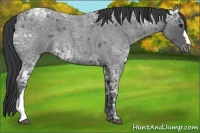 Horse Color:Blue Ice Roan