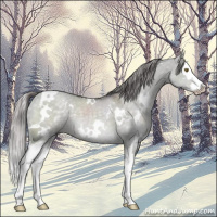 Horse Color:Platinum White Spotted Chocolate Palomino Dun Splash 