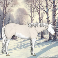 Horse Color:Silver Smoky Creme Roan Splash 