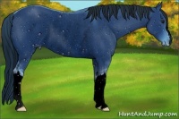 Horse Color:ERROR: UNKNOWN ANOMALY