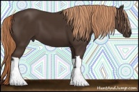 Horse Color:Liver Chestnut 