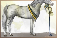Horse Color:Silver Grullo Chinchilla Ice Tobiano Frame 