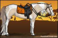 Horse Color:Amber Champagne Dun Splash Tobiano Appaloosa 