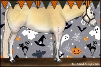 Horse Color:Palomino Onyx 