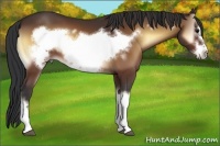 Horse Color:Bay Onyx Frame 