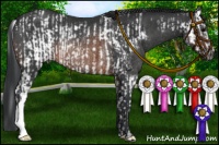 Horse Color:Brown Splash Frame Appaloosa Rabicano  and Brown Rabicano 