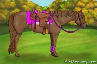 Horse Color:Chestnut Rabicano 