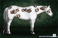 Horse Color:Gray Bay Splash 