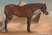Horse Color:Silver Brown 