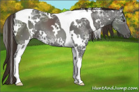 Horse Color:White Spotted Liver Chestnut Ice Tobiano 
