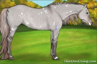Horse Color:Platinum White Spotted Liver Red Dun 
