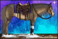 Horse Color:Chocolate Palomino 