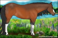 Horse Color:Brown 