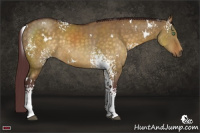 Horse Color:White Spotted Chocolate Buckskin Dun Rabicano