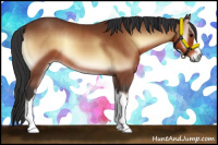 Horse Color:Bay Onyx 