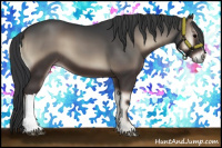 Horse Color:Blue Onyx