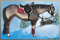 Horse Color:Blue Onyx 