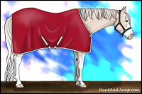 Horse Color:Silver Amber Champagne Dun Sabino Splash 