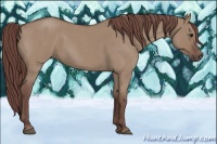 Horse Color:Chocolate Smoky Grullo Roan 