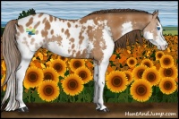 Horse Color:Bay Splash Appaloosa 