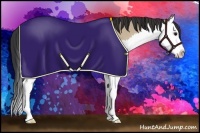 Horse Color:Bay Dun Sabino Splash