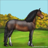 Horse Color:Brown 