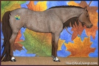 Horse Color:Liver Red Roan 