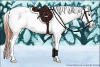 Horse Color:Bay Roan Dun Tobiano Appaloosa