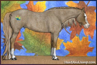 Horse Color:Chocolate Palomino Roan Splash