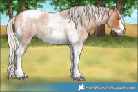 Horse Color:Silver Brown Roan Tobiano Frame Rabicano 