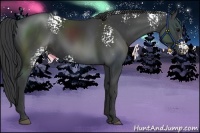Horse Color:White Spotted Black