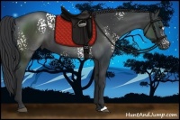 Horse Color:White Spotted Black
