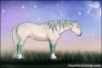 Horse Color:Watercolor White Spotted Silver Brown Chinchilla Ice Dun 