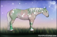 Horse Color:Watercolor White Spotted Silver Brown Sabino