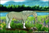 Horse Color:Watercolor White Spotted Silver Grullo