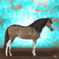 Horse Color:White Spotted Liver Red Dun Rabicano