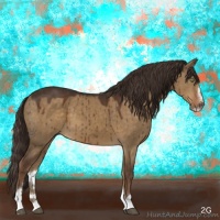Horse Color:Liver Red Dun Sabino 