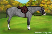 Horse Color:Blue Roan Splash 